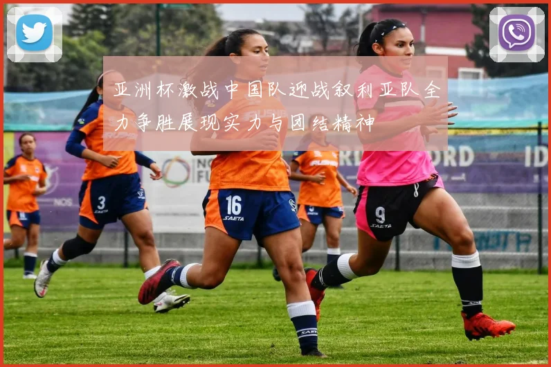 亚洲杯激战中国队迎战叙利亚队全力争胜展现实力与团结精神