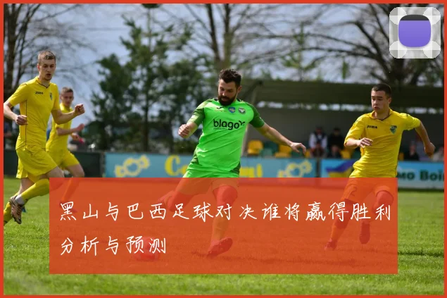 黑山与巴西足球对决谁将赢得胜利分析与预测
