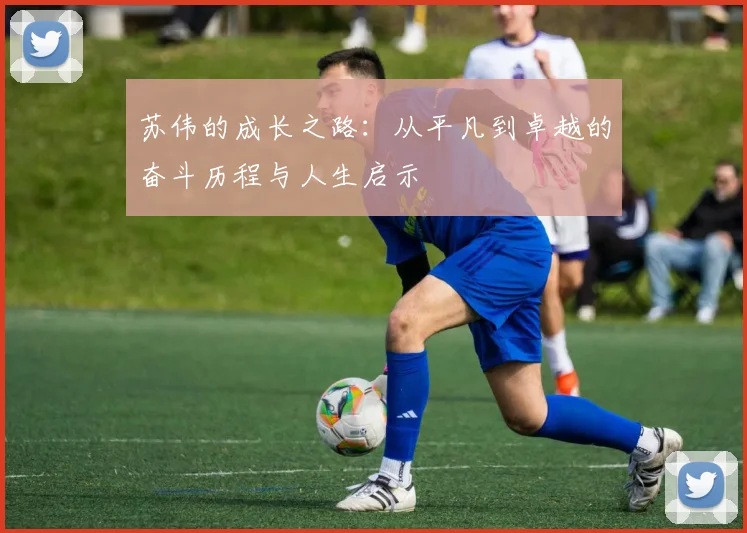 苏伟的成长之路：从平凡到卓越的奋斗历程与人生启示