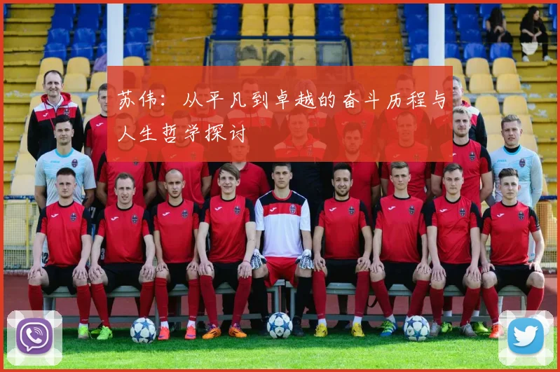 苏伟：从平凡到卓越的奋斗历程与人生哲学探讨