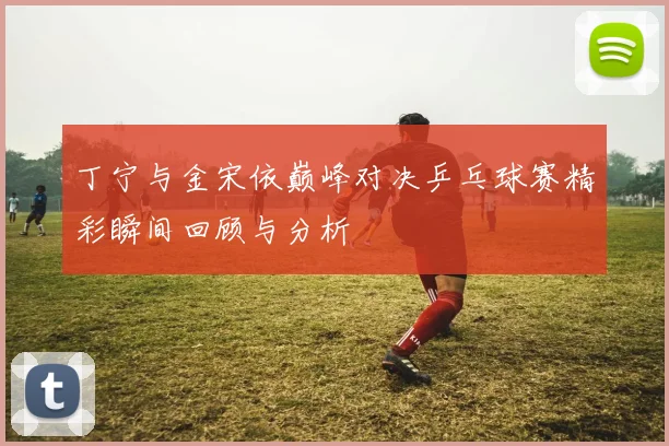 丁宁与金宋依巅峰对决乒乓球赛精彩瞬间回顾与分析