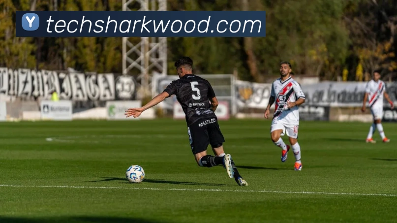 博鱼体育发展历程